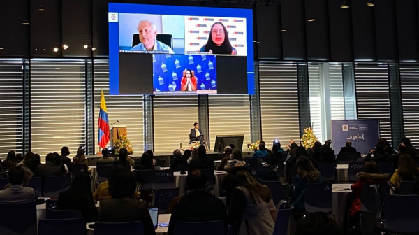 Titular de la DIDA, Carolina Serrata Méndez, disertó en el Panel “Avances y Retos de la Cultura de la Seguridad Social en Iberoamérica” ante más de 500 personas de la Región.