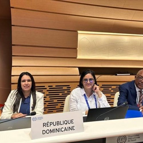 La directora general de la DIDA, Carolina Serrata Méndez, está participando activamente en la Comisión de Trabajo Decente y Economía del Cuidad